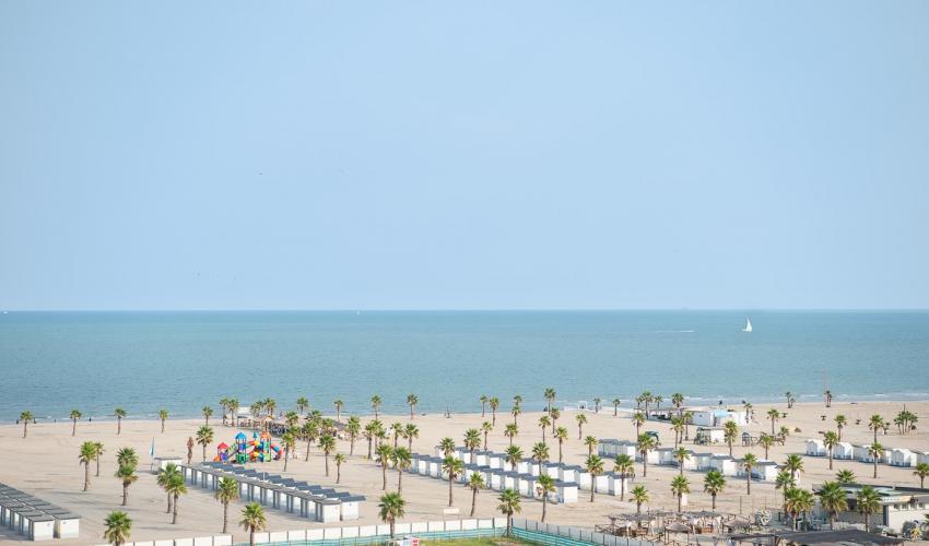 mediterraneo.ve.20-1021