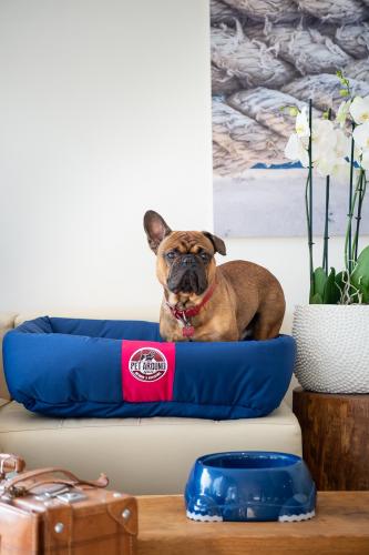 mediterraneo.ve.20-0673