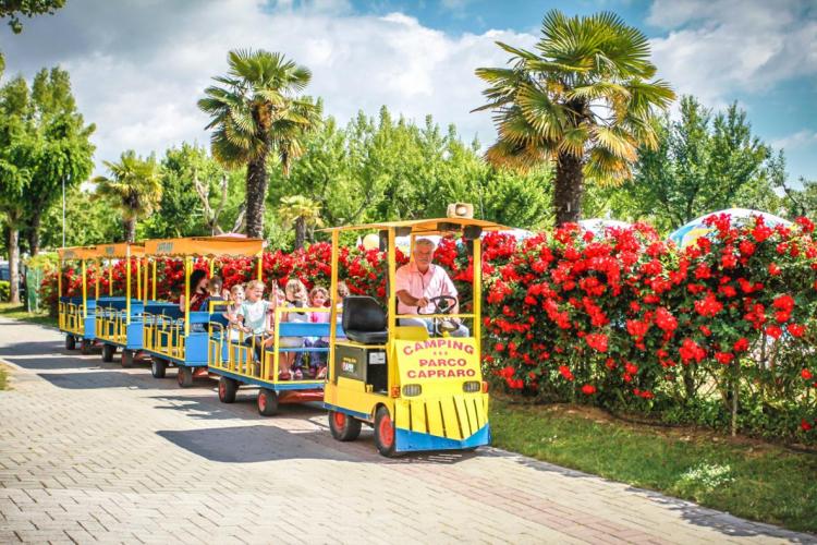 Camping Parco Capraro Animation
