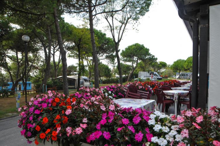 campeggio santa margherita022