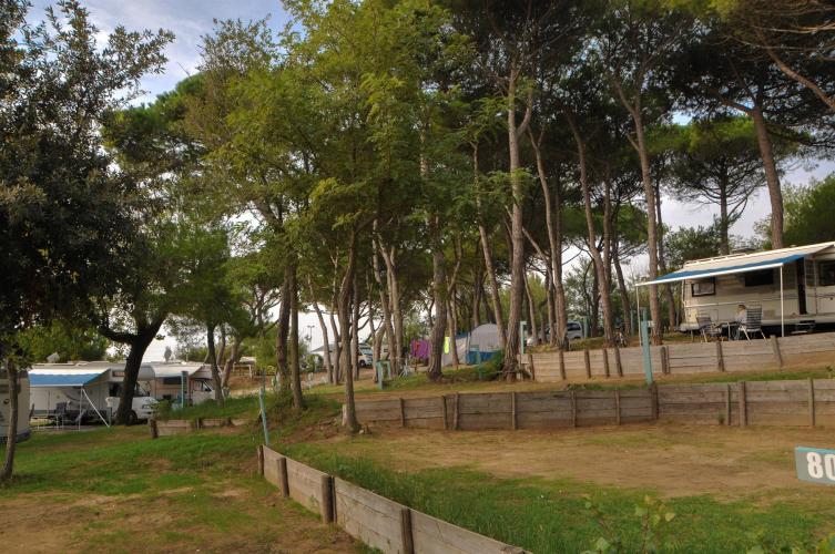 campeggio santa margherita015