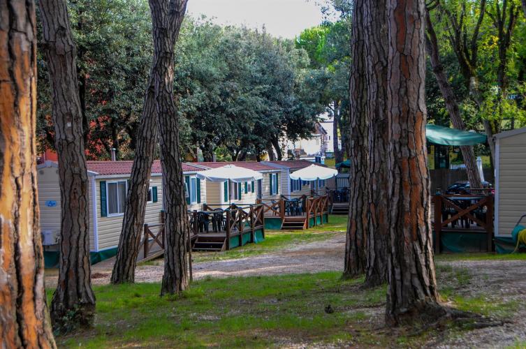 campeggio santa margherita042