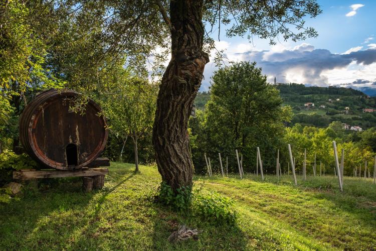 Agriturismo Le Spezie  - esterni