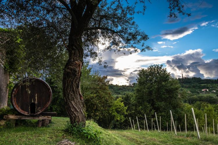 Agriturismo Le Spezie  - Esterni