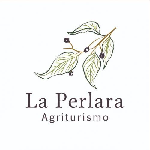 WhatsApp Image 2021-05-13 at 17.04.35