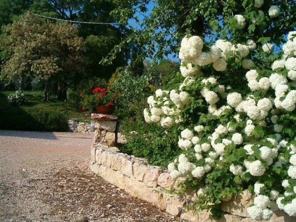 1928859_102666701703_4956920_n