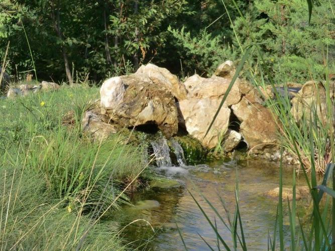 15875412_10154863871771704_3058337417999557381_o