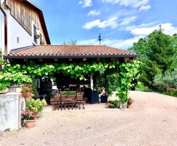 49678666_10156899883551704_4138039726558937088_n