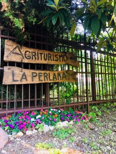 49898900_10156899889931704_3007032373456928768_n