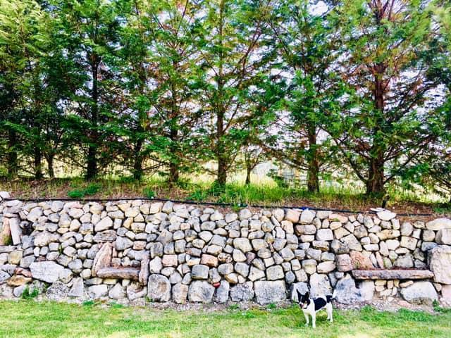 49818527_10156902211871704_2050367166057807872_n