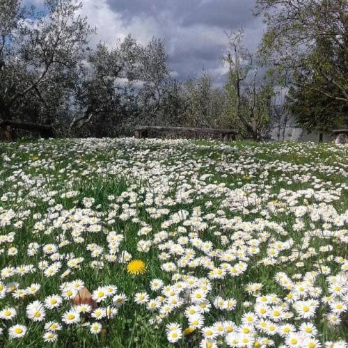 50327286_10156902160511704_1226871753293168640_n