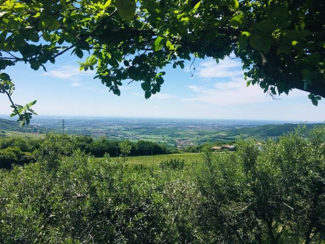 61559580_10157214088666704_4819355108892475392_n