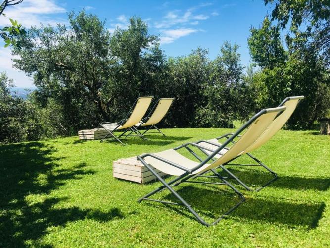 61566260_10157214089806704_7926757603881779200_n