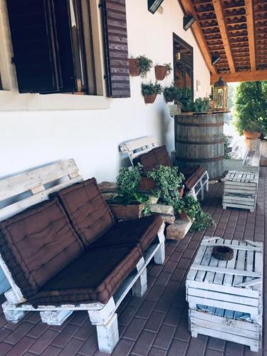 66112426_10157305725196704_3415420507028193280_n