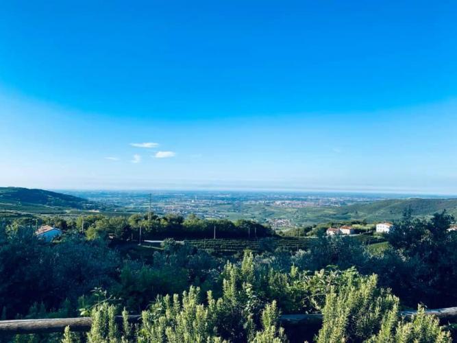 118691817_10158490084826704_1042996094312816039_n