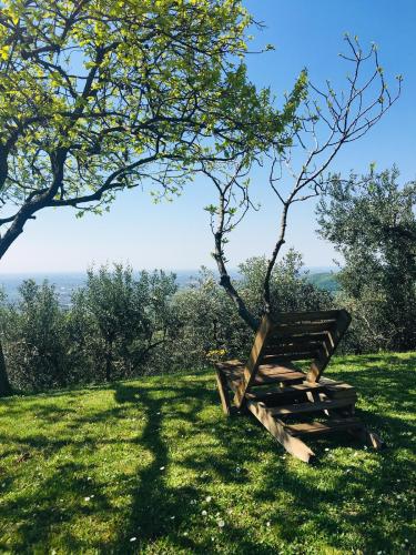 WhatsApp Image 2019-05-29 at 14.24.30