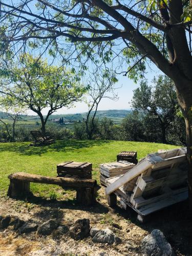 WhatsApp Image 2019-05-29 at 14.24.30.jpeg1