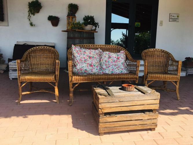 WhatsApp Image 2019-05-29 at 14.24.31