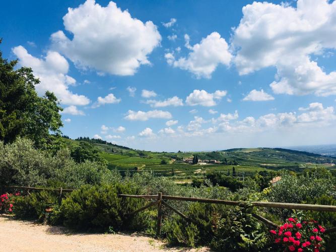 WhatsApp Image 2020-06-21 at 20.54.16