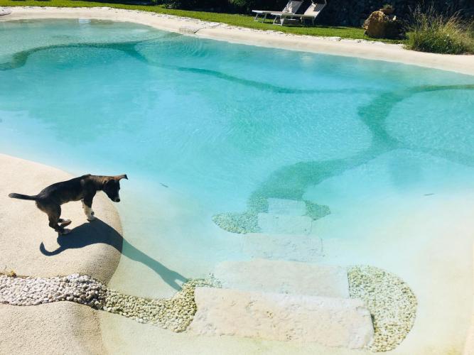 WhatsApp Image 2020-06-21 at 21.01.07