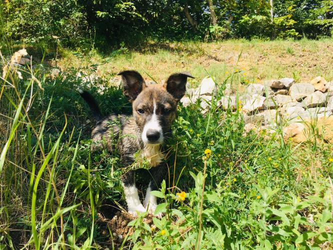 WhatsApp Image 2020-06-21 at 21.07.43