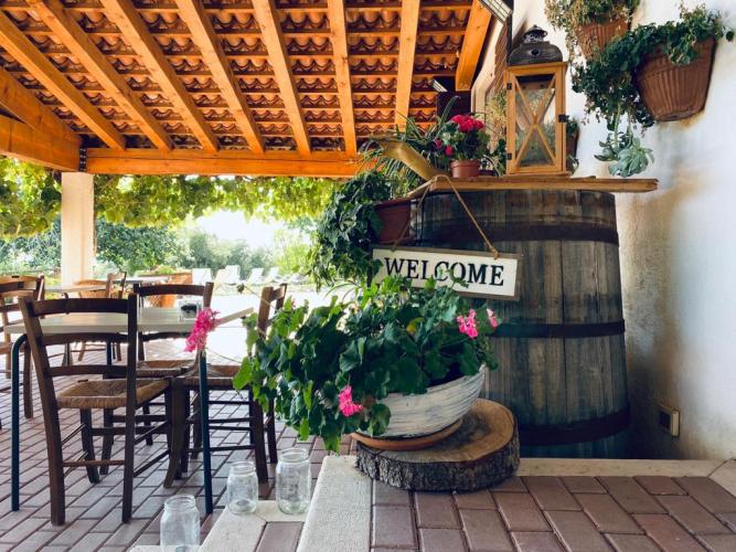 WhatsApp Image 2020-08-26 at 08.39.24 (7)