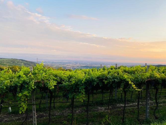 WhatsApp Image 2020-09-02 at 21.04.16 (1)