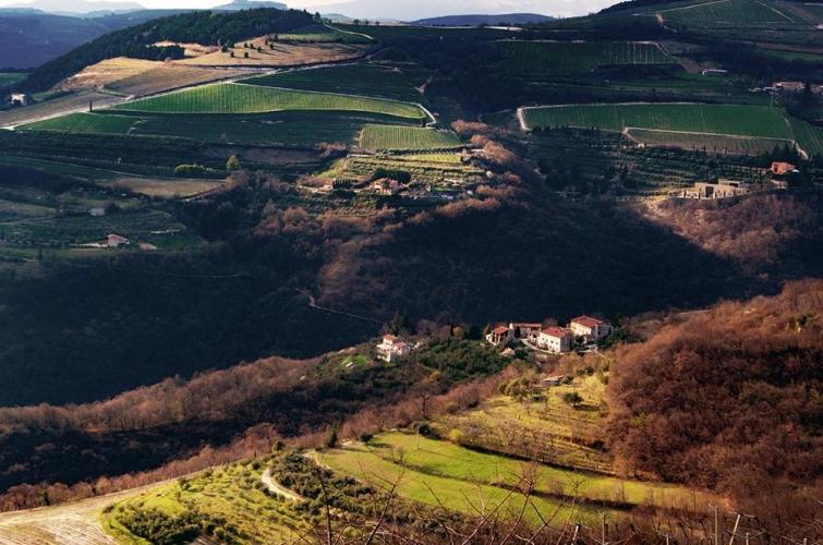 Sulle colline di Tregnago