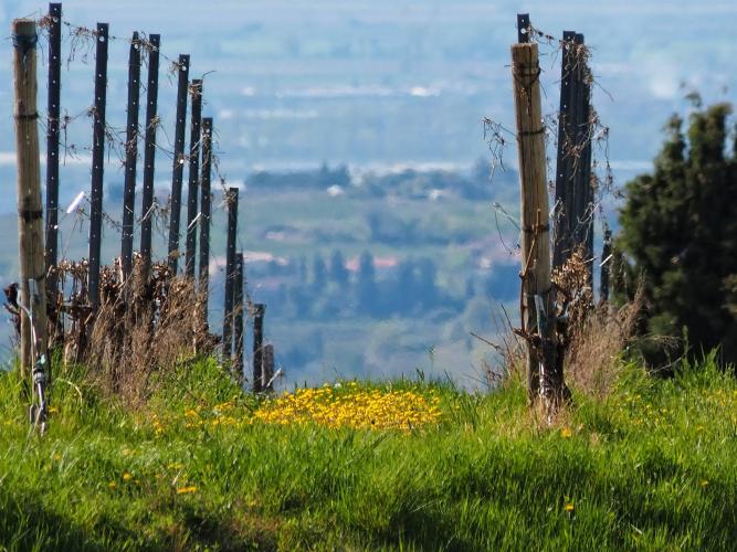 Sul sentiero delle Tre Valli