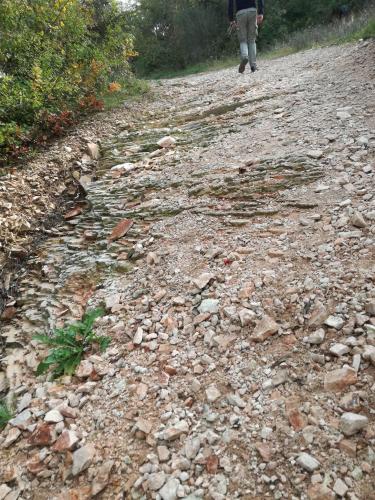 Scaglia rossa sul sentiero