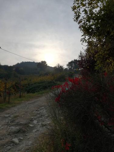 Discesa da casa Milanta