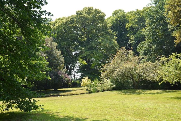 Cantina Rechsteiner 2