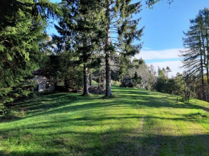 Sentiero dei Boscati