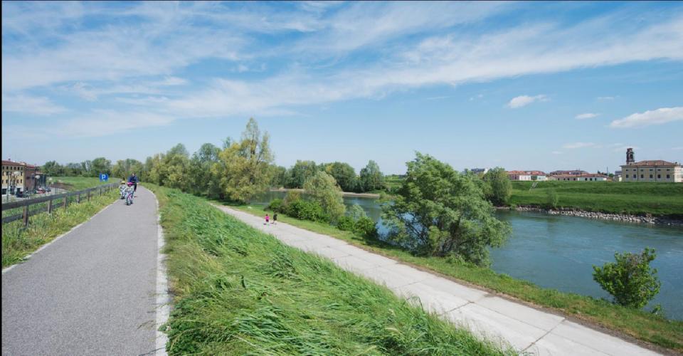 Golena dell'Adige_2