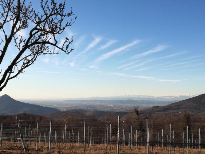 panorama sui Colli Berici e le montagne innevate