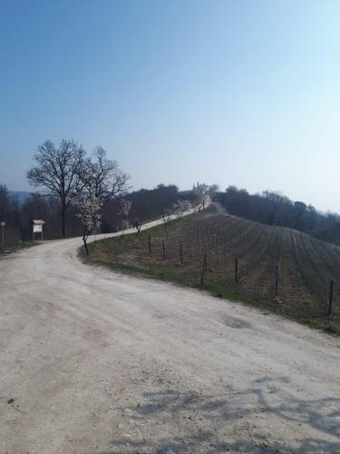 verso Villa Beatrice, Baone