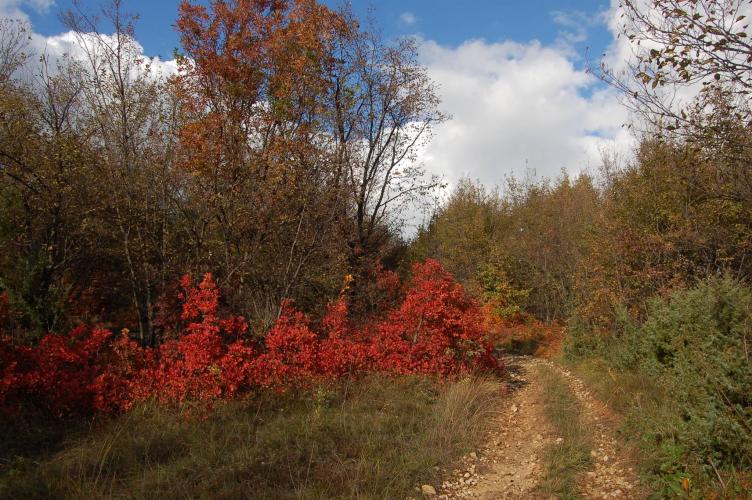 Alla scoperta di Grezzana