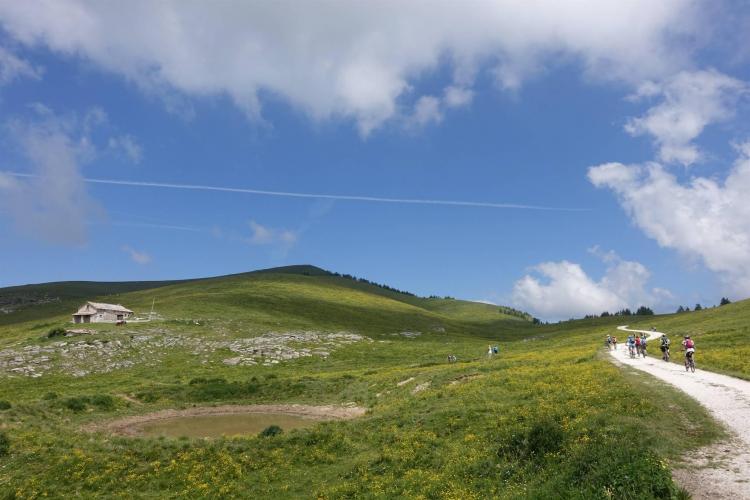 Alti Pascoli della Lessinia