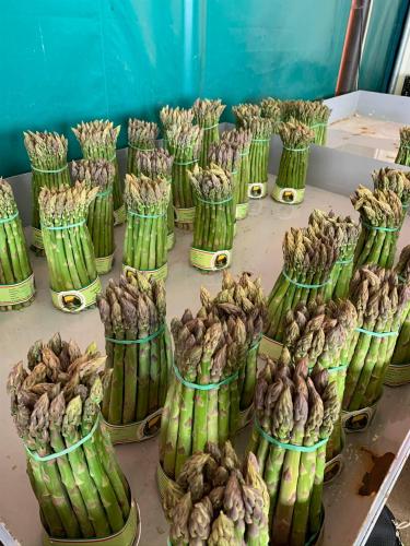 Asparagi verdi