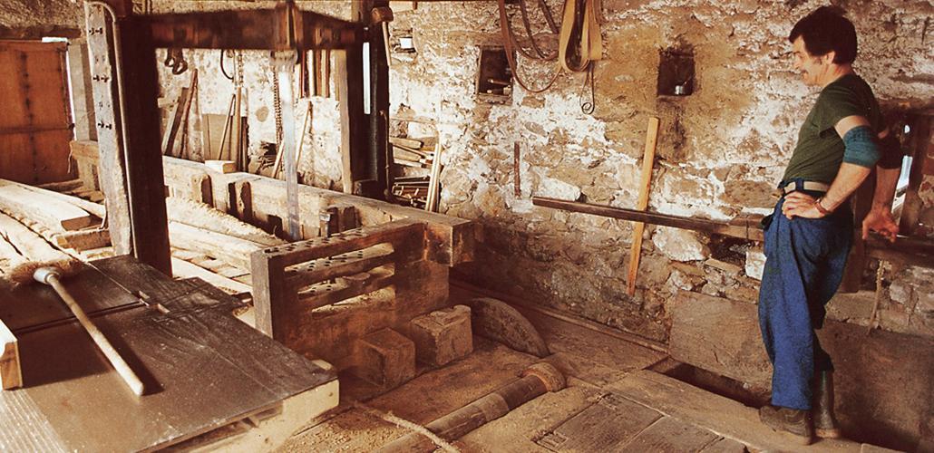 Segheria alla Veneziana