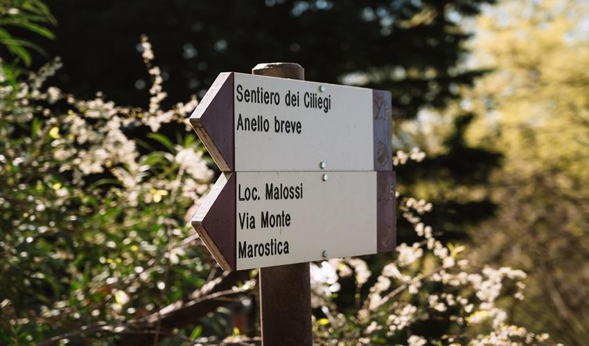 Sentieri cartello