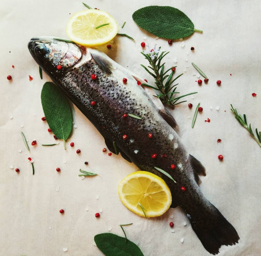 Laghetto Marchesini - trota