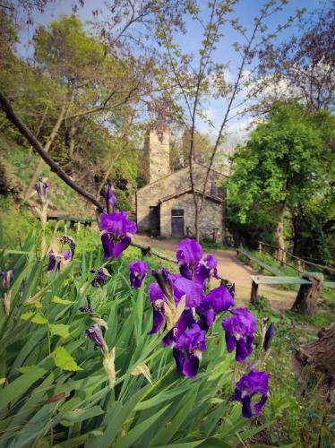 Retro chiesetta Sant'Antonio Abate