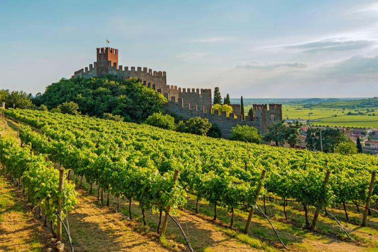Soave