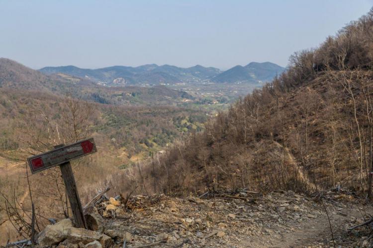 ampie aperture sul panorama dei Colli Euganei
