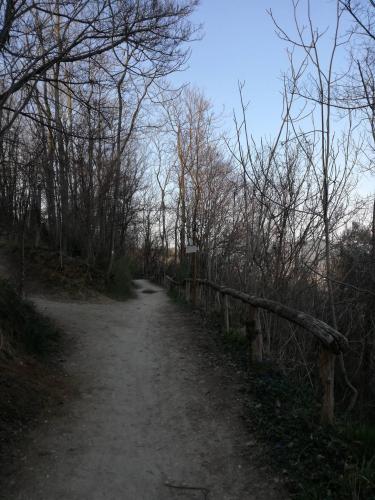 Tratto del sentiero con staccionata
