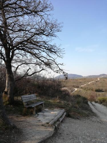 Panchina prima della salita sui vegri