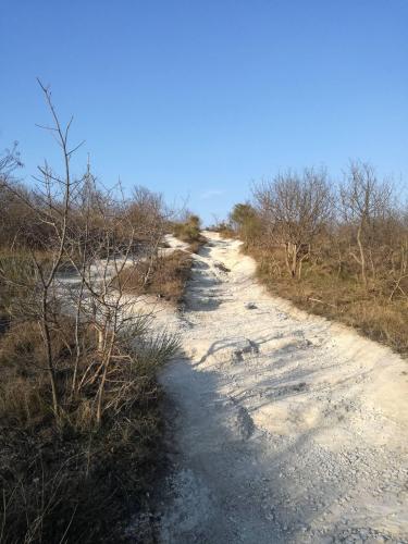 Tipica pavimentazione sui vegri