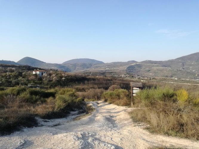 Vista sui colli di Arquà e Cinto