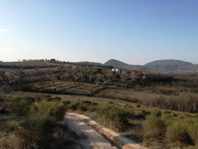 Coltivazioni e rade abitazioni intorno ai vegri